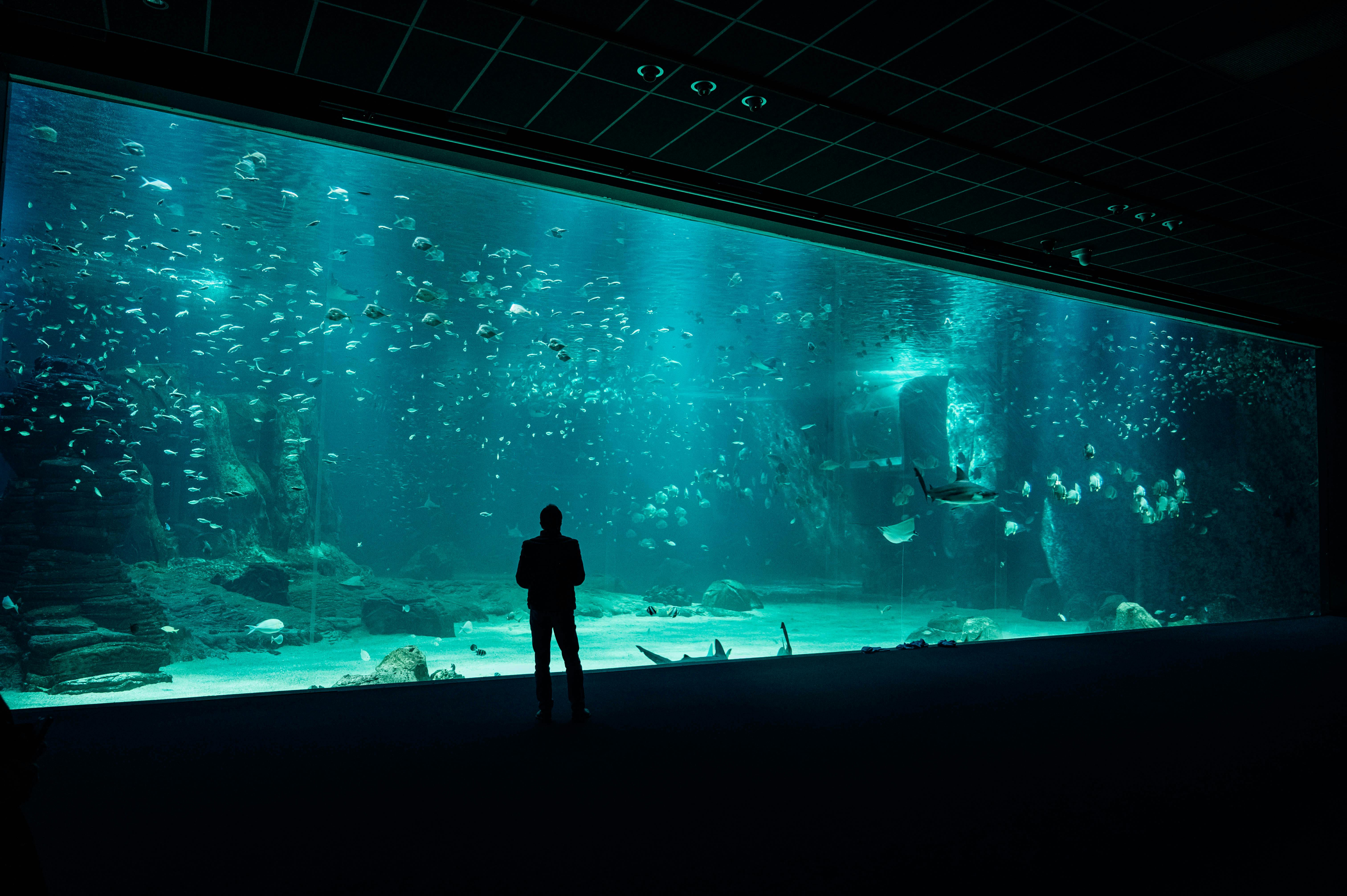 Aquarium Antalya